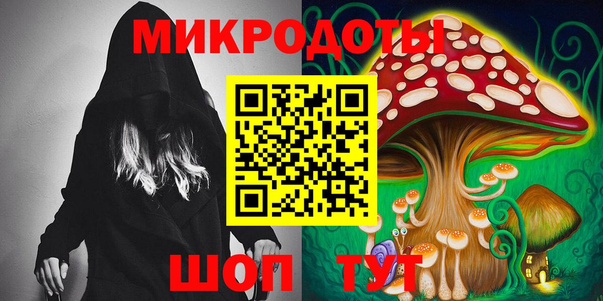 Псилоцибиновые грибы Cubensis Дмитров