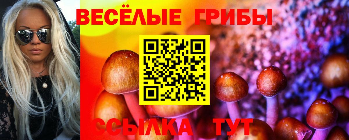 Дмитров  купить наркотик  Вход с VPN  Галлюциногенные грибы Psilocybe  Псилоцибиновые грибы мухоморы 