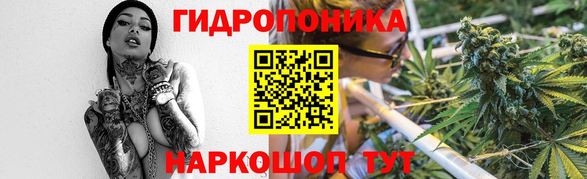 Бошки марихуана MAZAR  Канабис тримм  Дмитров  Вход с VPN  Каннабис план 