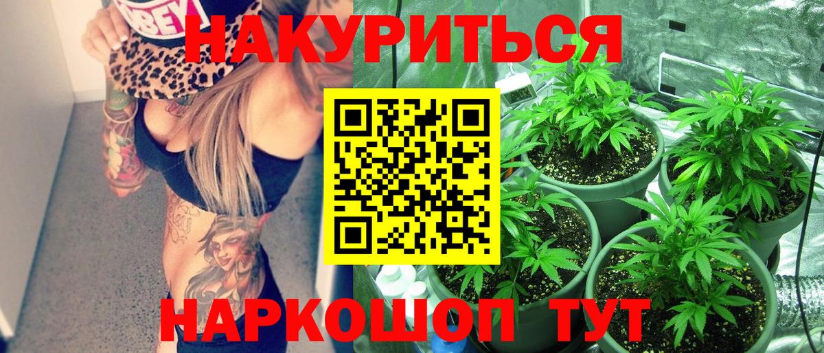 Бошки марихуана планчик Дмитров